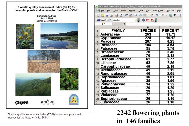 monocot plants list