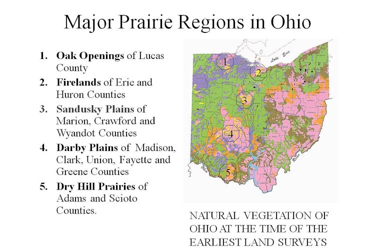 Ohio Prairie Regions