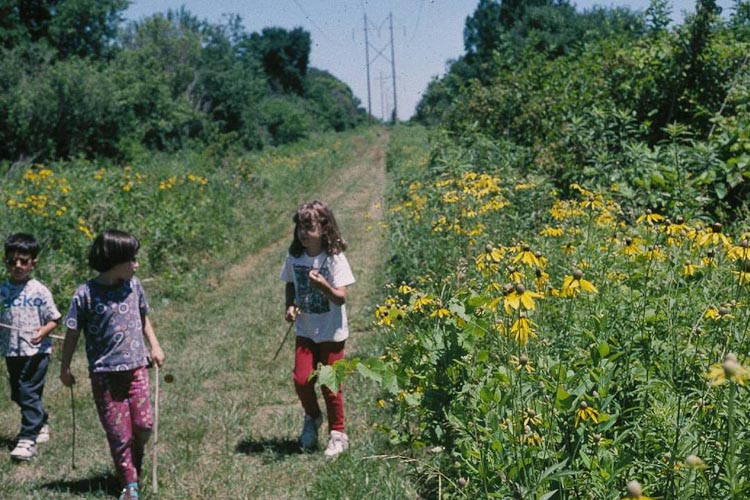 Milford Prairie