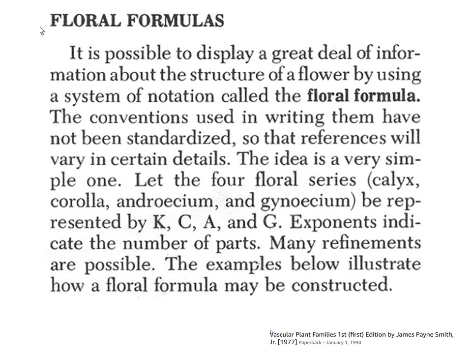 Floral Formula (1)